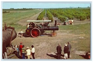 c1950's Alamo Citrus Center Farm Field Alamo Texas TX Unposted Vintage Postcard