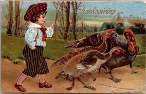 Thanksgiving, Boy Herding Flock of Turkeys Gilding Vintage Postcard K05