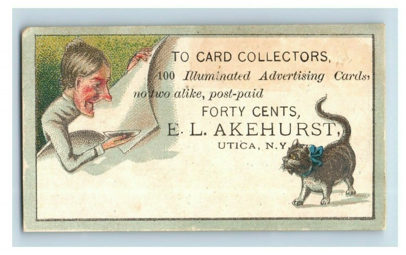 1870s-80s Illuminated Advertising Cards E.L Akehurst Owl Bird Dog Lot Of 6 P201 