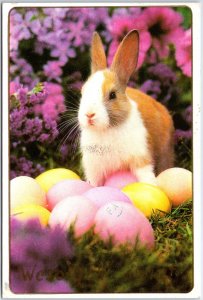 VINTAGE CONTINENTAL SIZE POSTCARD BUNNY RABBIT EASTER EGGS GREETINGS FROM POLAND