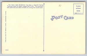 Bradenton Major League Baseball Ball Park  Florida  Postcard