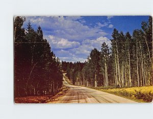 Postcard Kaibab National Forest, Arizona