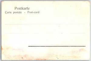 Heidelberg Germany c1905 Poster Art Postcard Schloss Castle