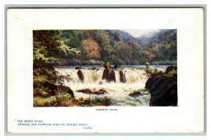 Vintage 1908 Tuck's Postcard Cenarth Falls The Broad River Shelley Poem