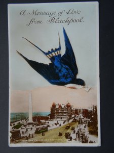 Lancashire BLACKPOOL Blue Bird MESSAGE OF LOVE c1934 RP Postcard by F. Field