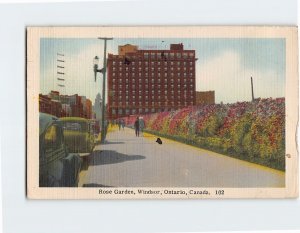 Postcard Rose Garden Windsor Ontario Canada