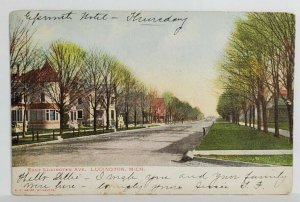 Michigan Street Scene on East Ludington Avenue Postcard T11