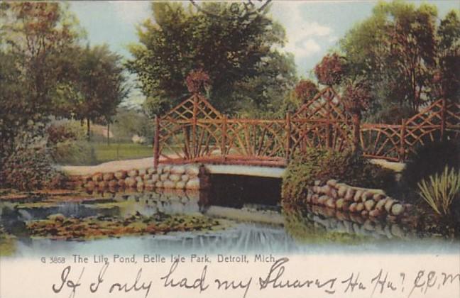 Michigan Detroit The Lily Pond Belle Isle Park Rotograph 1906