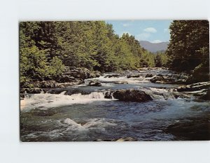 Postcard Little Pigeon River, Great Smoky Mountains National Park, Tennessee