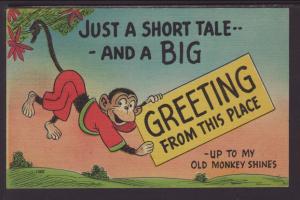 Greeting From This Place,Monkey,Comic Postcard
