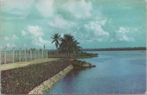 Theme Park & Expo~Lagos~Nigeria Intl Trade Fair 1962~Port Harcourt~Vintage PC