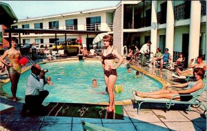 IA Iowa City  CONGRESS INN Bathing Beauty~Leopard Bikini ROADSIDE Motel Postcard