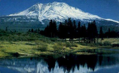 Mt. Shasta, CA, CA