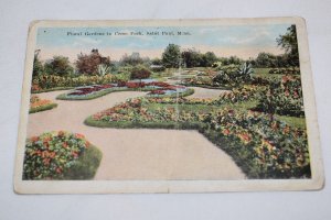 Formal Gardens in Como Park Saint Paul Minn. Postcard R. Steinman & Co.