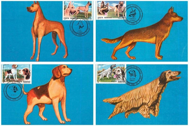 Set of 4 Maxi Cards Romania dogs breed 1990