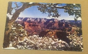 VINTAGE UNUSED POSTCARD GRAND CANYON NATIONAL PARK, ARIZONA