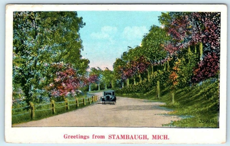 Greetings from STAMBAUGH, Michigan MI ~ Iron County ca 1920s   Postcard