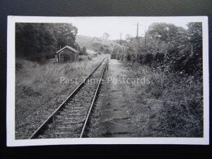 Somerset STOGUMBER RAILWAY STATION Locomotive c1950/60's Real Photograph