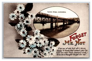 Forget Me Not Flowers Carlisle Bridge Londonderry Ireland DB Postcard N22