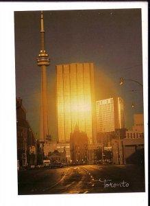 Downtown Photo by Douglas Fisher, Toronto, Ontario, Large, 5 X 7 Postcard,