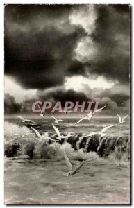 Postcard Modern Merlimont Val Seagulls