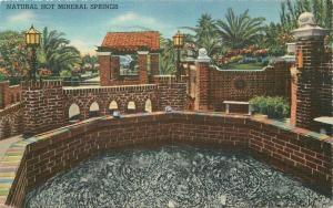 California Guenther's Murrietta Mineral Hot Springs Postcard Teich 3503