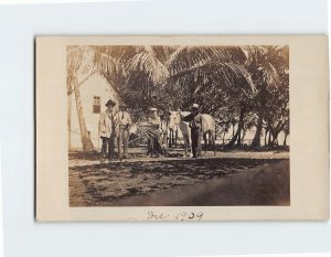 Postcard Farmers Men Horse Trees House Vintage Picture