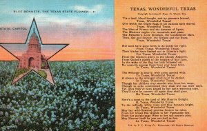 Vintage Postcard 1930's Blue Bonnets The Texas State Flower Blooms Spring Poem