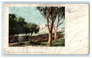 c1900s Mission San Diego, San Diego California CA PMC Unposted Postcard