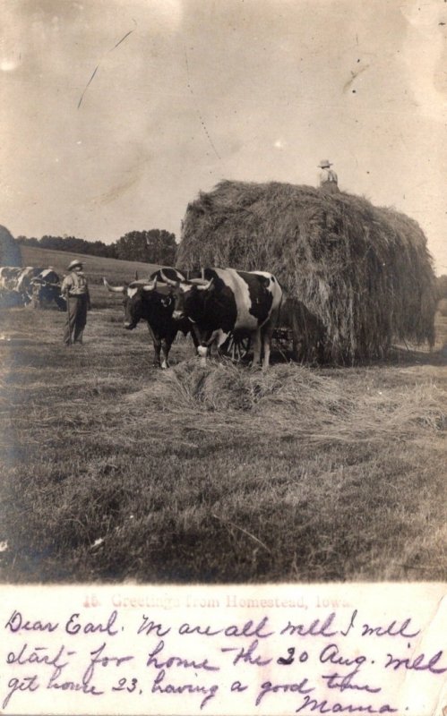 Iowa Greetings From Homestead Hay Making Scene 1906