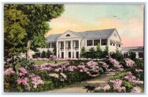Mountain Laurel Sweet Heart Tea House Shelburne Falls MA Handcolored Postcard 