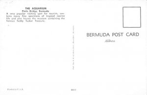 The Aquarium Flatts Bridge Bermuda Postcard
