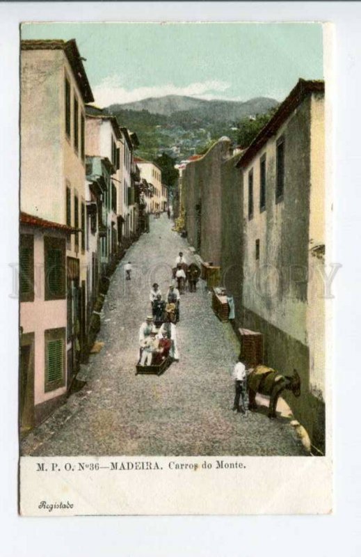 424425 PORTUGAL MADEIRA Mount Path Car Descent Vintage postcard