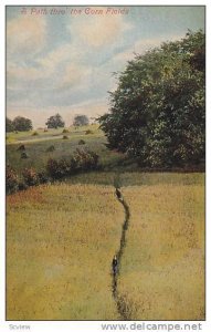 A Path Thro The Corn Fields, 1900-1910s