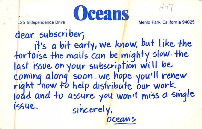 Sea Turtle Turtles Unused 