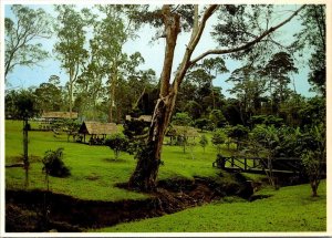 VINTAGE CONTINENTAL SIZE POSTCARD VARIRATA NATIONAL PARK PORT MORESBY PAPUA N.G.