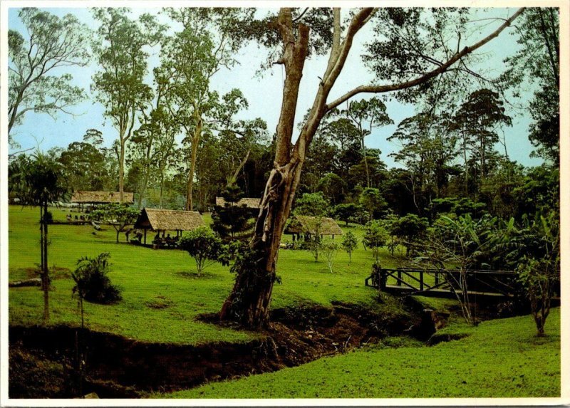 VINTAGE CONTINENTAL SIZE POSTCARD VARIRATA NATIONAL PARK PORT MORESBY PAPUA N.G.