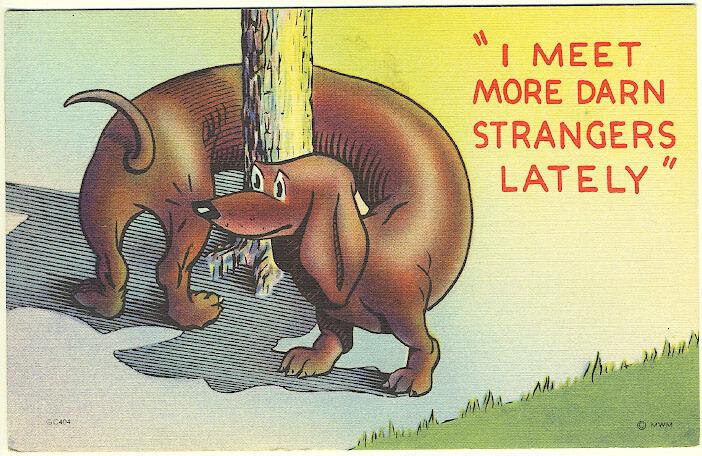 Dachshund Curled Around Tree I Meet More Darn Strangers Lately Dog Postcard