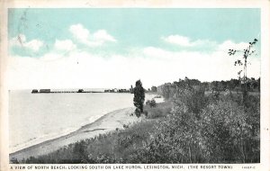 Lexington Michigan North Beach, Looking S. On Lake Huron, Vintage PC U14134