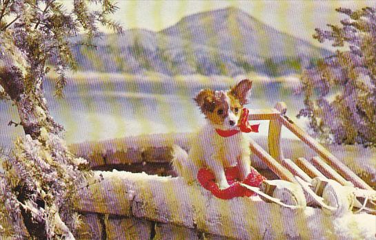 Young Puppy with Red Ribbon In The Snow