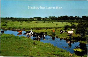 Postcard FARM SCENE Luverne Minnesota MN AM4423