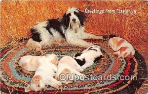  Clarion, IA, USA Dog, Canine Postcard