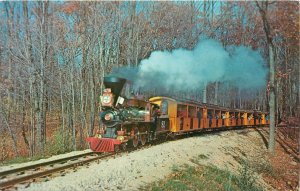 Vintage Postcard 1/4 Scale Model Railroad, Milwaukee County Zoo WI