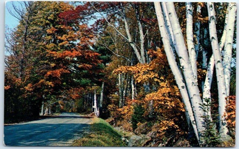 Postcard - Colorful Fall, Fairview Hotel - Bridgewater, Canada