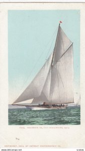 Shamrock III, Cup Challenger 1903