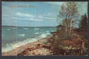 Shoreline Scene,MI BIN