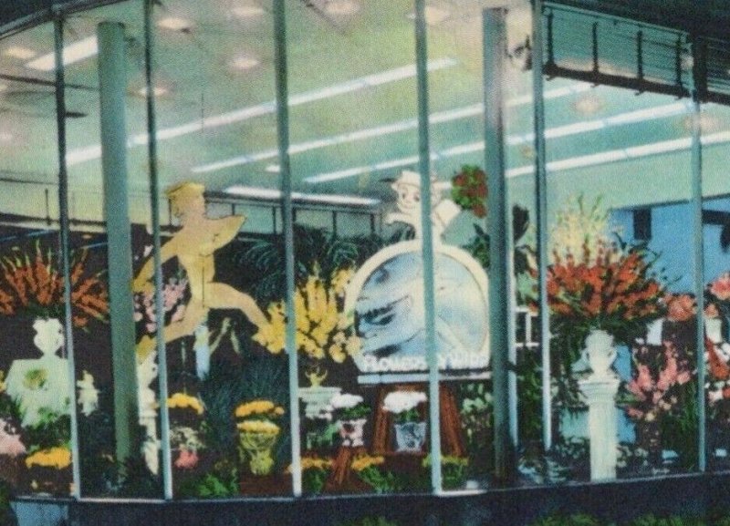 Brix Florist St Louis MO Golden Hermes Neon Display Windows Store postcard H171 