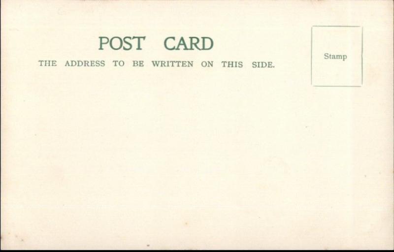 Orient Line Steamship Ophir Royal Yacht c1905 Postcard