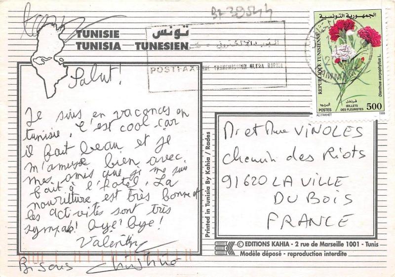 BF39544 tunisia les jehfa   camel chameau  animal animaux