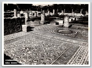RPPC  Conimbriga  Roman Ruins  Mosaic Tile  Portugal   Postcard